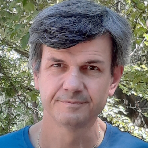 V. Constantoudis
